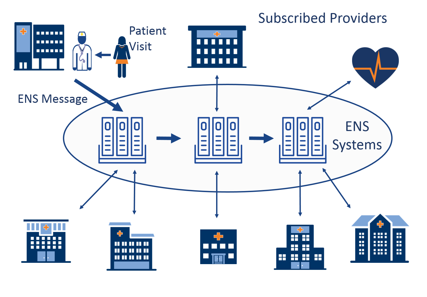 Animation of ENS